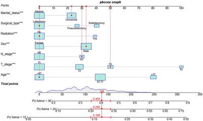 A nomogram for predicting postoperative overall survival of patients with lung squamous cell carcinoma: A SEER-based study